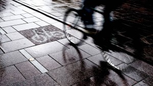 20150113-Danish-Cycling-Embassy-Kofoed-Co-Cycle-Path-3000_1421156695